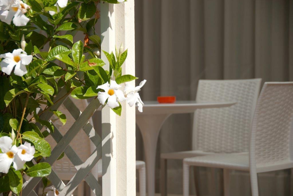 Il Marlo Suite & Breakfast Marina Di Carrara Extérieur photo